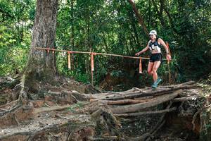 BIB: 
                            <button type="button" onclick="openModal(27801980)" class="btn btn-primary btn-sm float-right btn-popup" data-toggle="modal" data-target=".modal-high-quality">
                        <i class="fas fa-shopping-cart"></i> Add to Cart
                    </button>
                                            <button type="button" onclick="isThisMe(27801980, true)" class="btn btn-success btn-sm float-right btn-popup btn-isme hidden" data-toggle="tooltip" data-placement="bottom" title="นี่คือรูปของคุณใช่ไหม คลิกที่นี่เพื่อเอาเข้าอัลบั้ม">
                        <i class="fas fa-plus"></i> Add to album
                    </button>
                    <button type="button" onclick="isThisMe(27801980, false)" class="btn btn-warning btn-sm float-right btn-popup btn-isnotme hidden">
                        <i class="fas fa-ban"></i> Remove from album
                    </button>